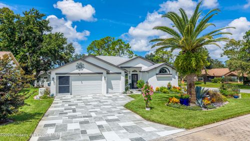 7300 Clearmeadow Dr, Spring Hill, FL, 34606-7203 | Card Image