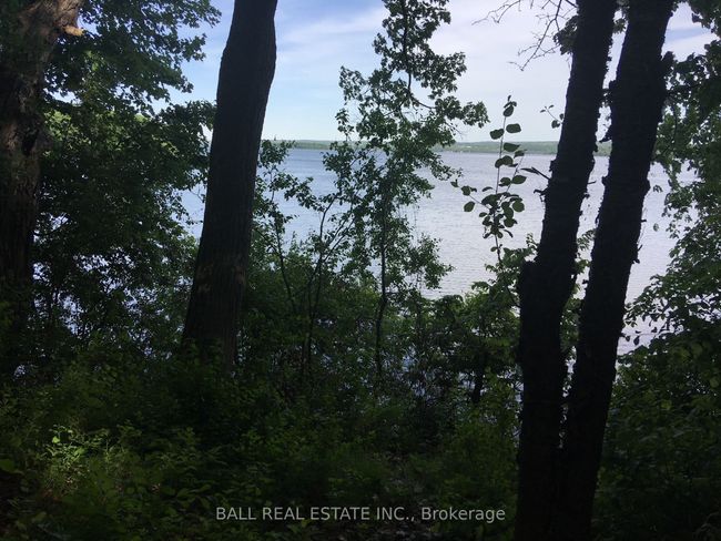 112 Cow Island, Home with 0 bedrooms, 0 bathrooms and null parking in Bailieboro ON | Image 5