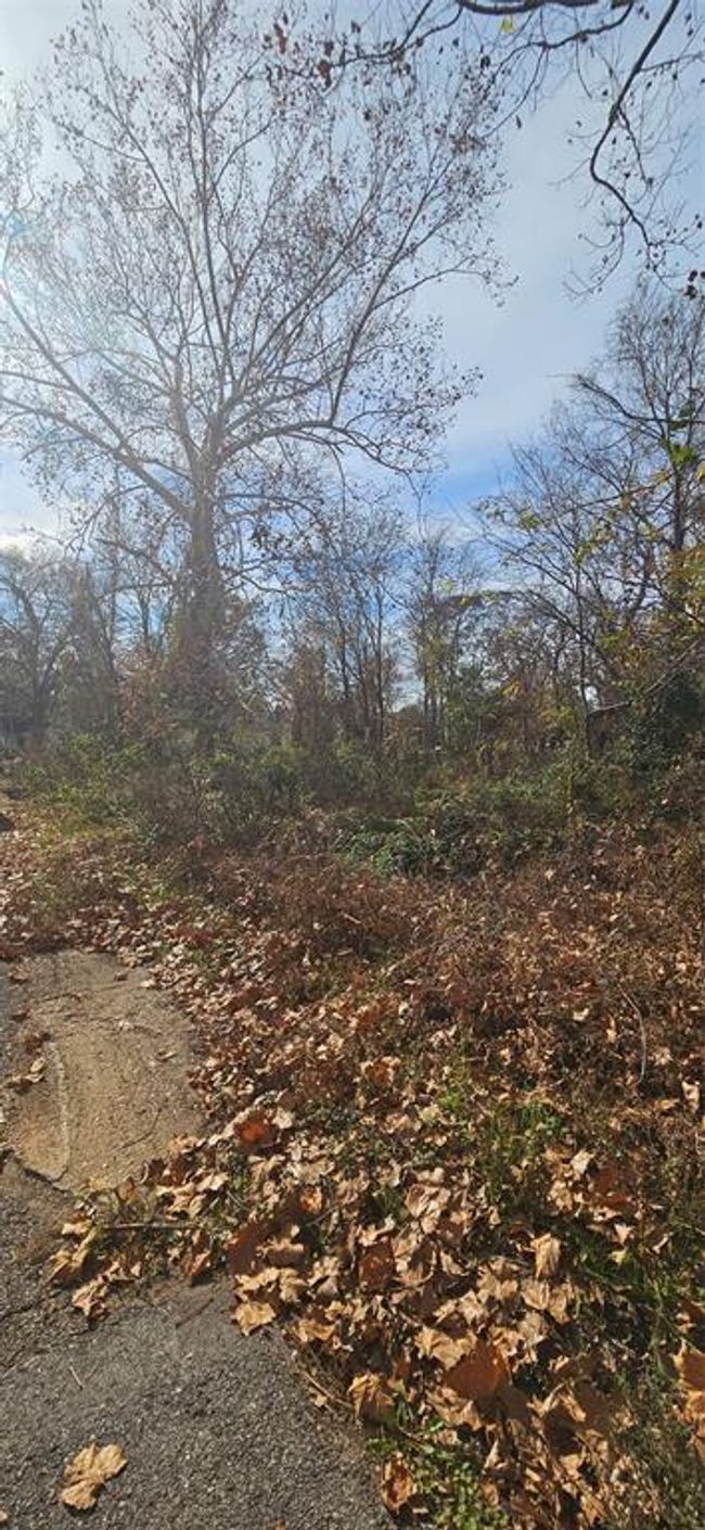 1206 E Burleson Street, For Sale in Marshall Zoocasa