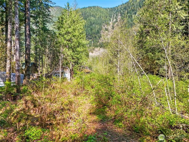 51223 195 Th Pl Se, Home with 0 bedrooms, 0 bathrooms and null parking in Index WA | Image 8