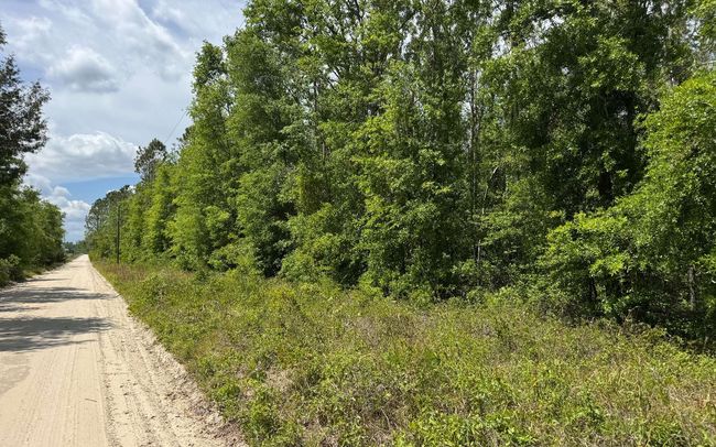 TBD 172 Nd Trce, Home with 0 bedrooms, 0 bathrooms and null parking in LIVE OAK FL | Image 4