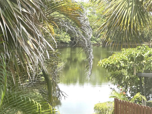 28102 - 3779 Carambola Cir N, Condo with 3 bedrooms, 3 bathrooms and null parking in Coconut Creek FL | Image 18