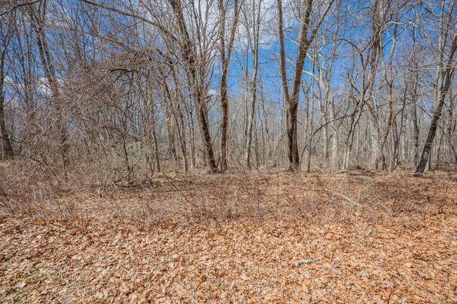 277 Main St N, House other with 2 bedrooms, 1 bathrooms and null parking in Bethlehem CT | Image 30