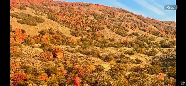 View of mountain feature | Image 4