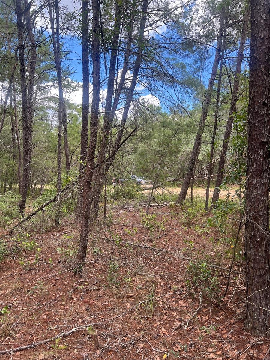Land in INTERLACHEN 4