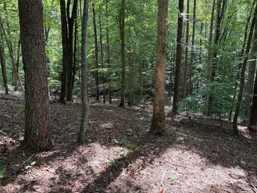 298-0 Mountain Brook Trl, Nebo, NC, 28761 | Card Image