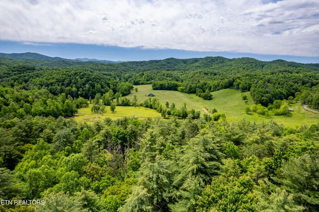 000 Cane Creek Mountain Rd, Home with 0 bedrooms, 0 bathrooms and null parking in Tellico Plains TN | Image 25