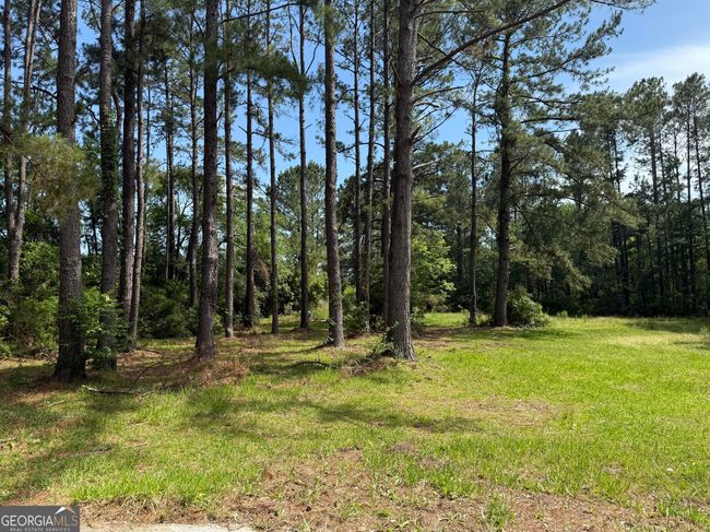 12103 Us Highway 80 E, House other with 4 bedrooms, 2 bathrooms and null parking in Brooklet GA | Image 21