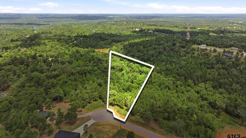 LOT 130 Valley View Ct, Winona, TX, 75792 | Card Image