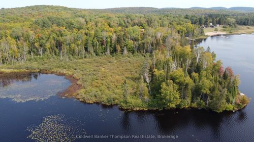 1471 Pickerel & Jack Lake Road, Armour, ON, P0A1Z0 | Card Image