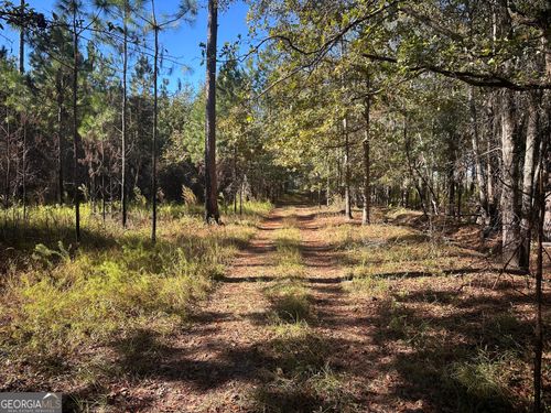 0 Buck Creek Rd, sylvania, GA, 30467 | Card Image