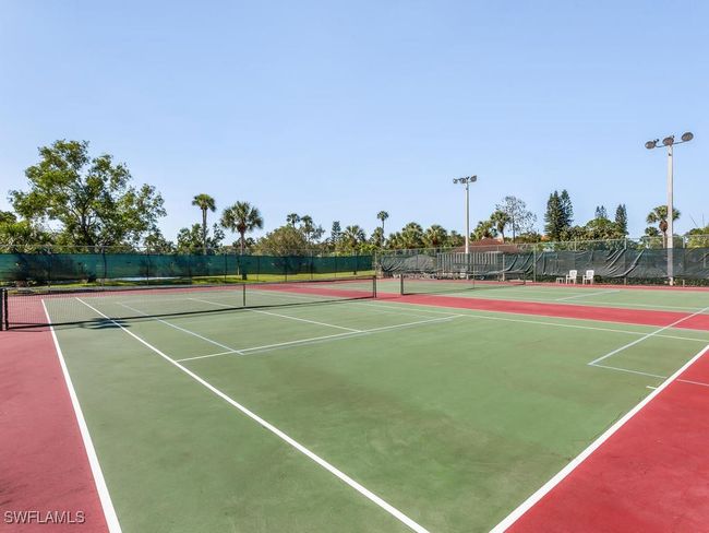 pickle ball and tennis | Image 40