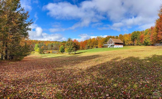 11441184 Hollister Hill Rd, House other with 6 bedrooms, 5 bathrooms and null parking in Delhi NY | Image 97