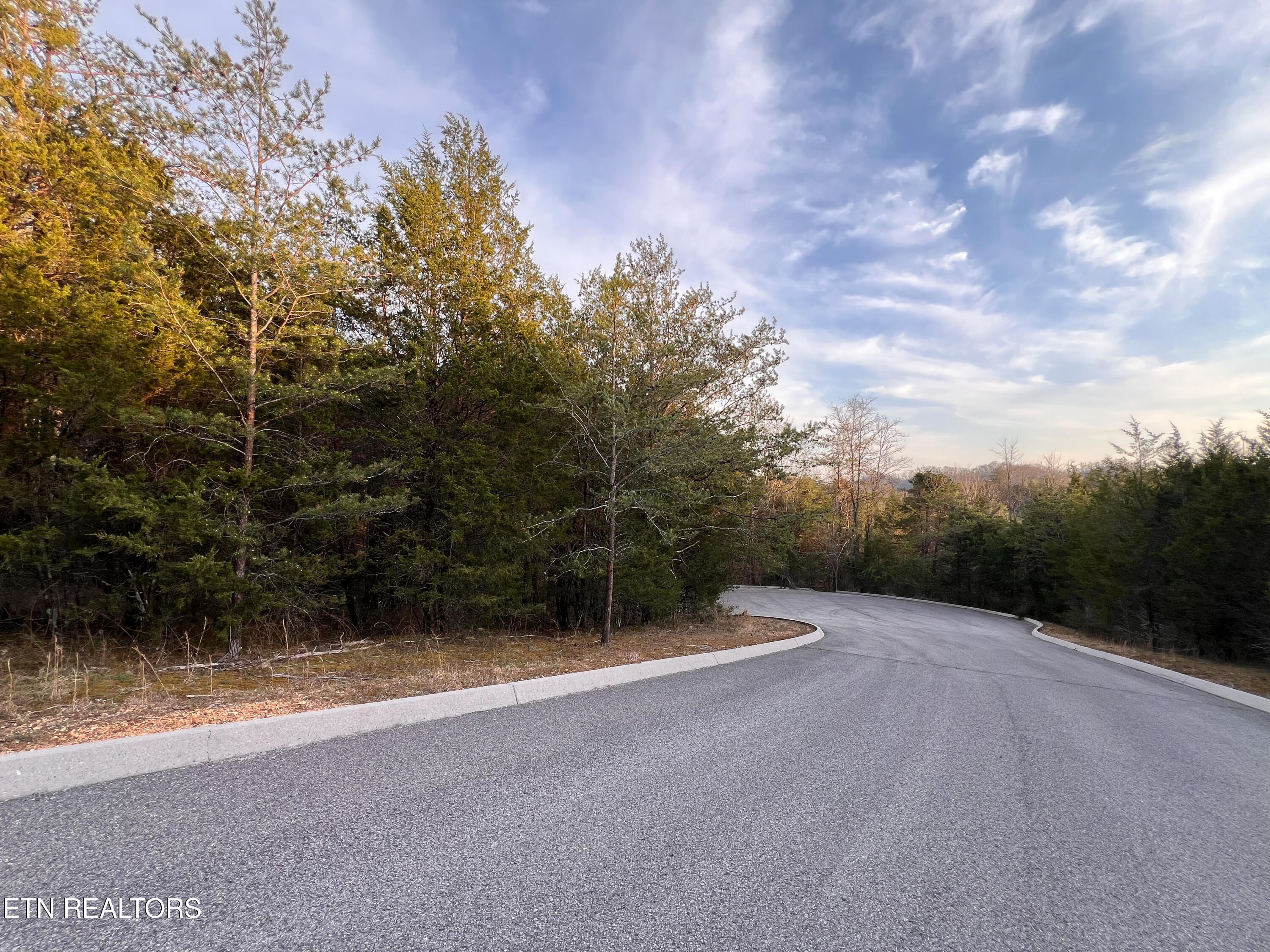 Land in Tazewell 5