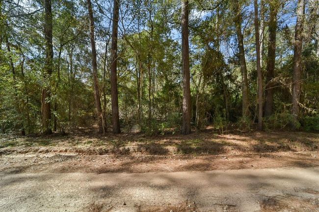 0 Bob Wahle Ln, Home with 0 bedrooms, 0 bathrooms and null parking in Coldspring TX | Image 4