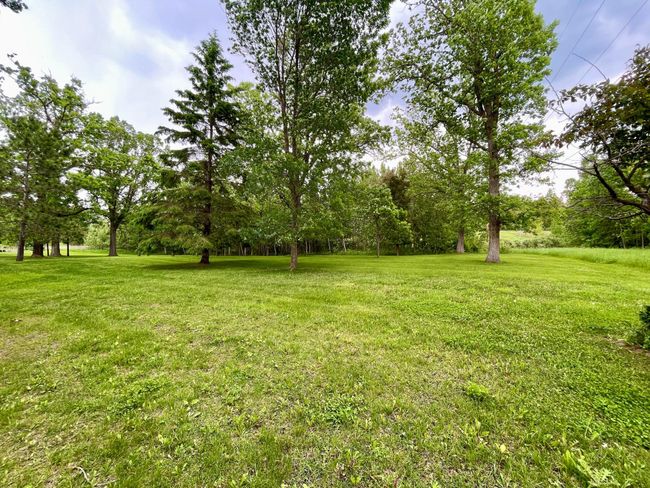 Yard.jpeg | Image 32