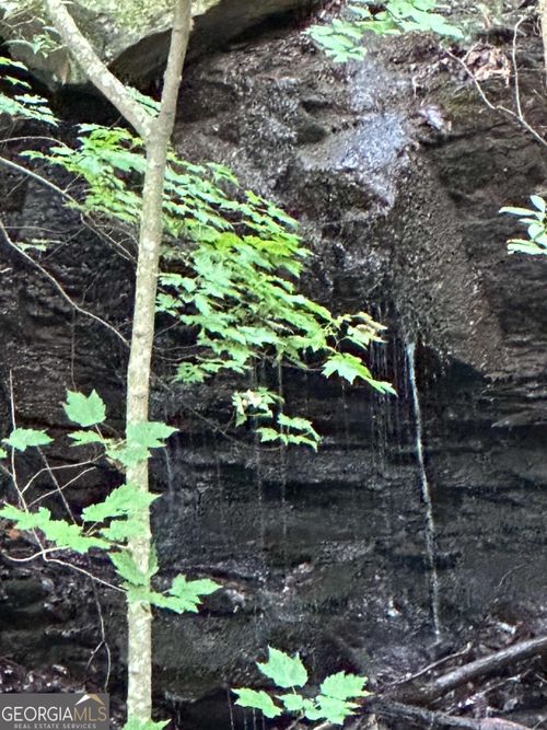 1225-1227 Oglethorpe Mountain Trl, Jasper, GA, 30143 | Card Image