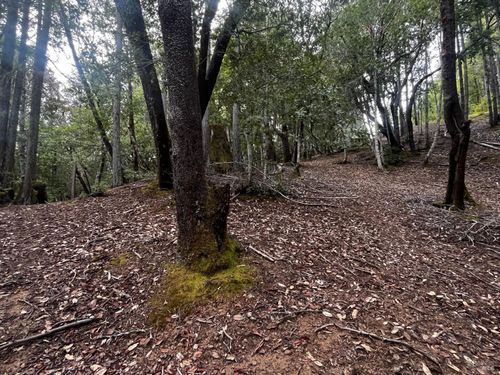 1921 Clover Drive, Willits, CA, 95490 | Card Image