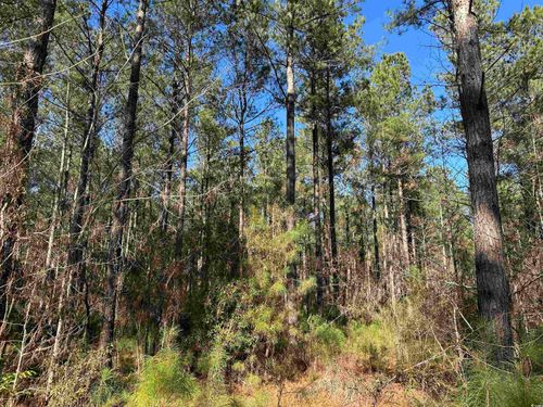 34 Easler Hwy, Greeleyville, SC, 29056 | Card Image