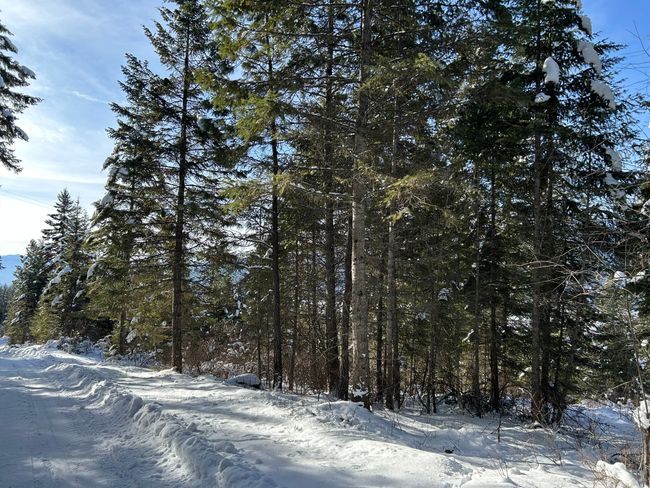 North corner | Image 29