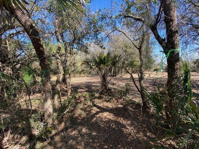 15936 306 Th St, Home with 0 bedrooms, 0 bathrooms and null parking in Okeechobee FL | Image 10