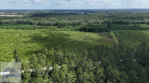 Tract 3 Bennett Mill Pond Rd, Odum, GA, 31555 | Card Image