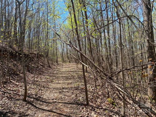 Lots 8, 9 Wild Horse Drive, Nebo, NC, 28761 | Card Image