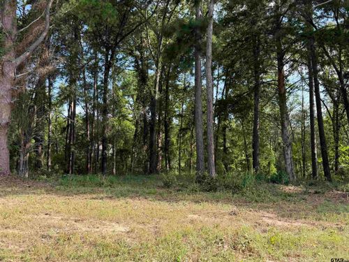 TBD Wilson Rd, Tyler, TX, 75707 | Card Image