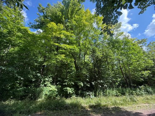 ON Tree Top Ln, Ironwood, MI, 49938 | Card Image