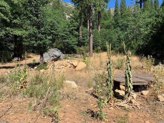 103 Lewis Ln, Home with 0 bedrooms, 0 bathrooms and null parking in Sierra City CA | Image 8