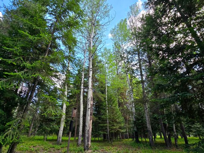 22 Pinewoods Dr, House other with 2 bedrooms, 2 bathrooms and null parking in Trout Creek MT | Image 57