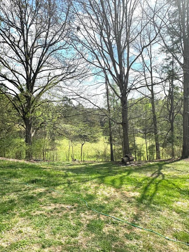 770 Council Rd Ne, House other with 3 bedrooms, 3 bathrooms and 4 parking in Charleston TN | Image 38