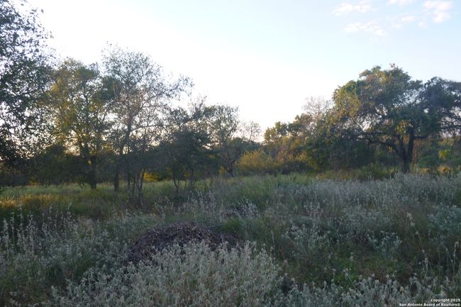 00 TRUMBO RD Trumbo Pass, Home with 0 bedrooms, 0 bathrooms and null parking in San Antonio TX | Image 4