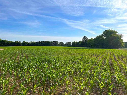 11385 Highway 18 S, Bolivar, TN, 38008 | Card Image