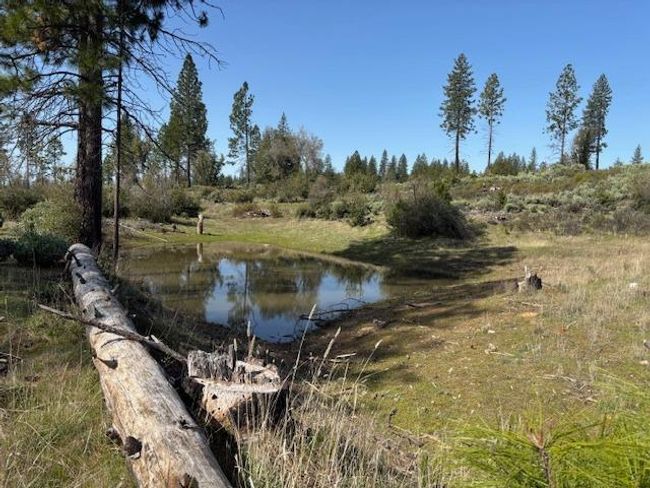 19292 Shawnee Trl, Home with 0 bedrooms, 0 bathrooms and null parking in Mokelumne Hill CA | Image 48