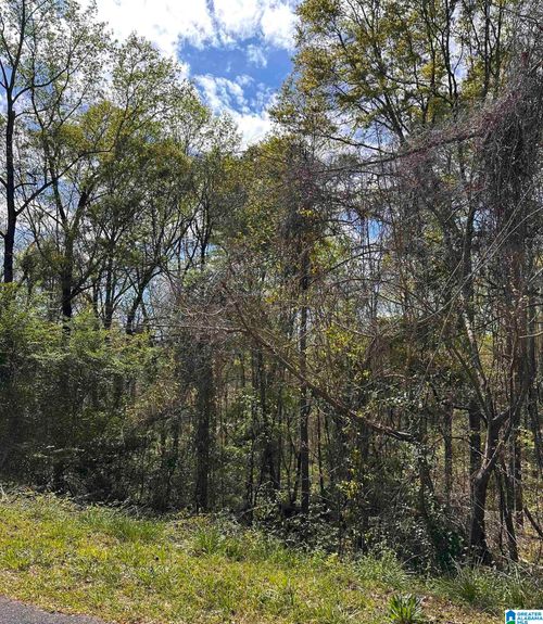 11-Lot 11 Wright Way Drive, Wedowee, AL, 36278 | Card Image