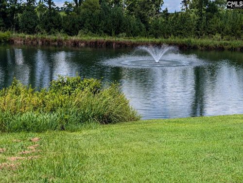509 Golden Rod Court, Blythewood, SC, 29016 | Card Image