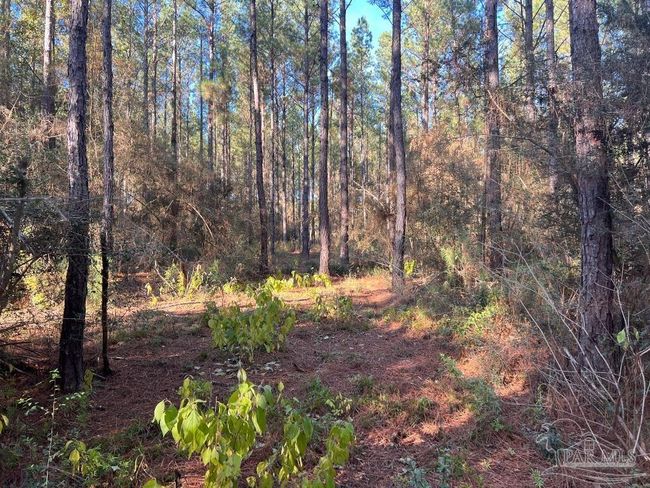 Lot 2-RS Hwy 182, Home with 0 bedrooms, 0 bathrooms and null parking in Jay FL | Image 7