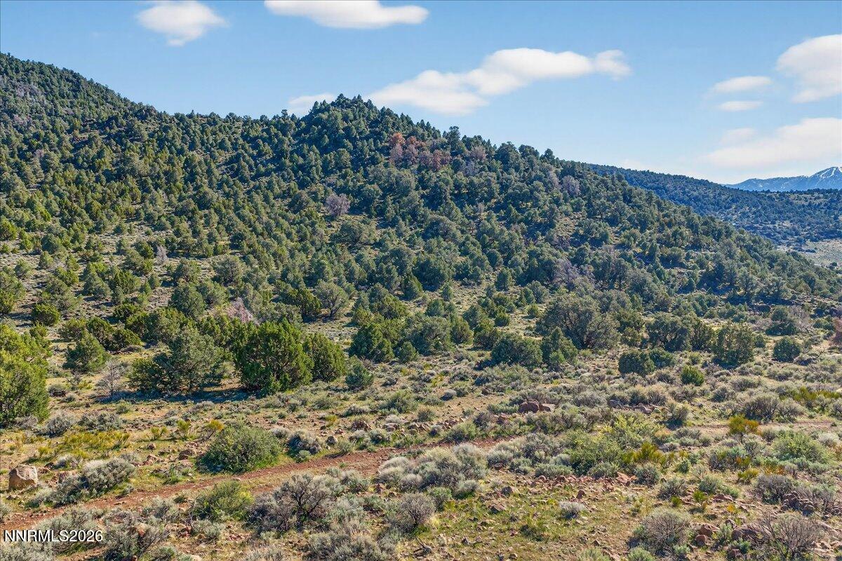 Land in Reno 5