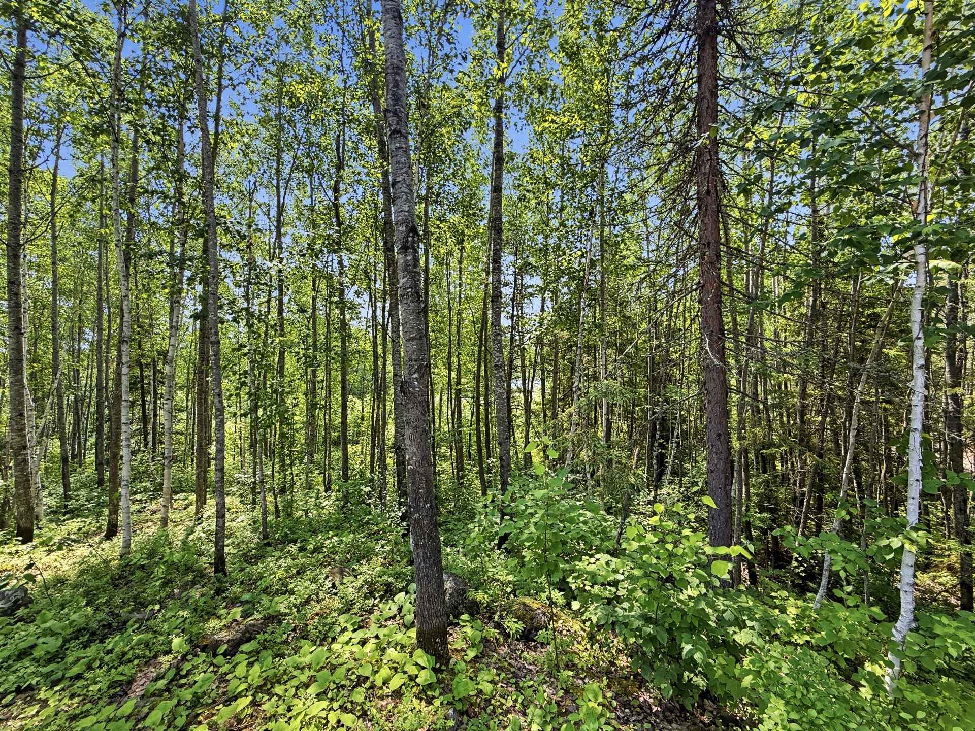 Land in Saint-Eugène-de-Guigues 5