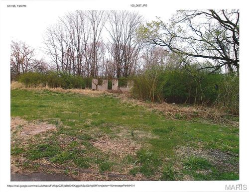 805 Piggott Ave, East Saint Louis, IL, 62201 | Card Image