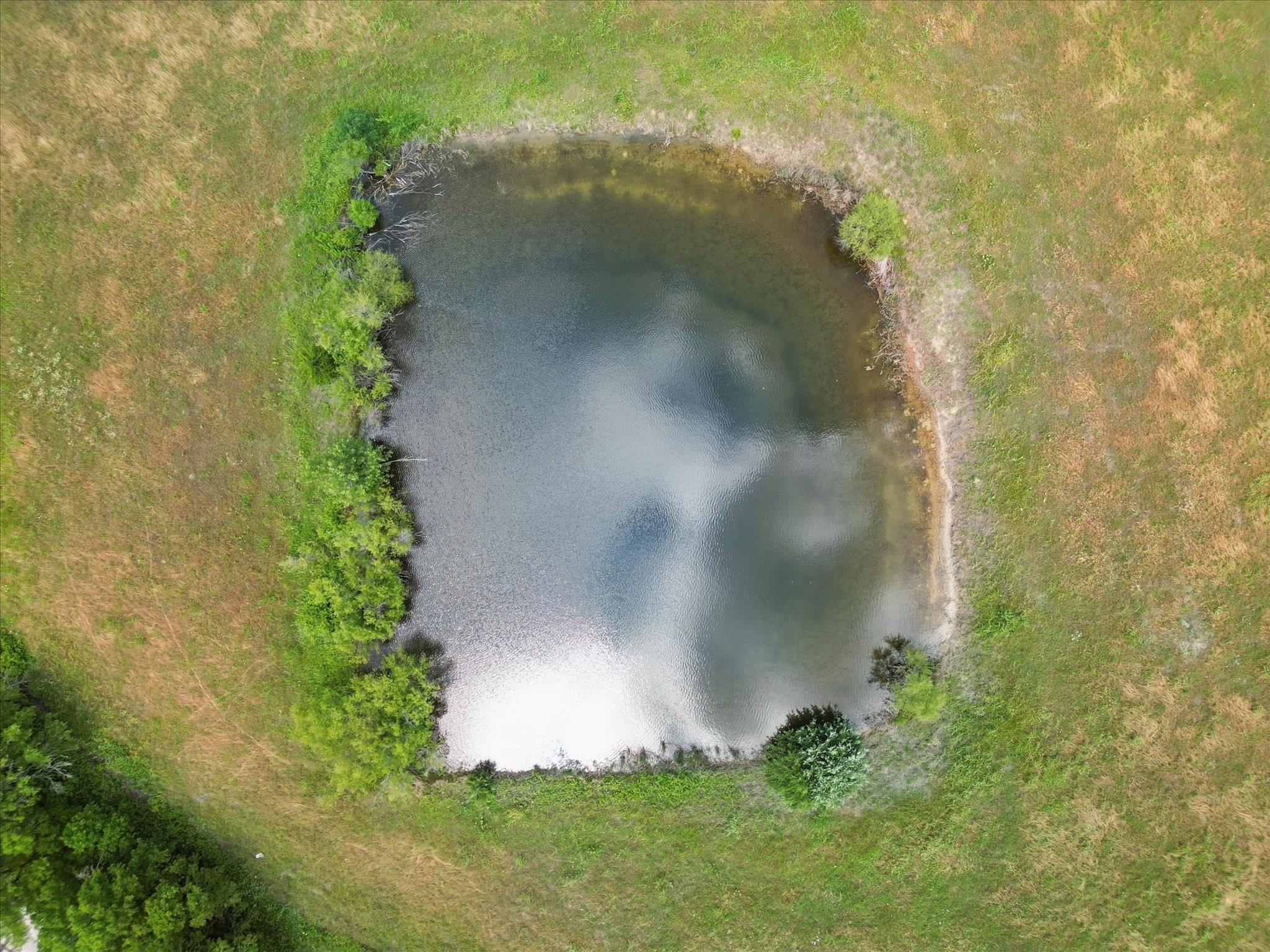 Land in Celeste 4