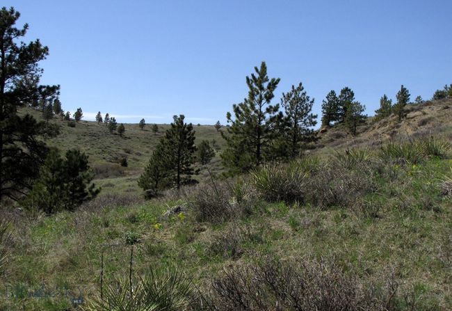 SC-28 - TBD Lone Rock Canyon Lane, Home with 0 bedrooms, 0 bathrooms and null parking in Hysham MT | Image 14