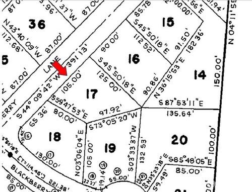 161 E Blackberry Ln, Union, WA, 98592-9804 | Card Image