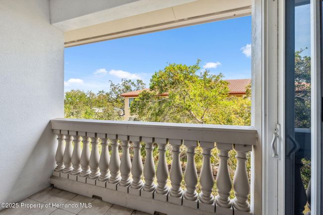 UNIT-411 - 1340 Bayshore Blvd, Condo with 3 bedrooms, 2 bathrooms and null parking in Dunedin FL | Image 31