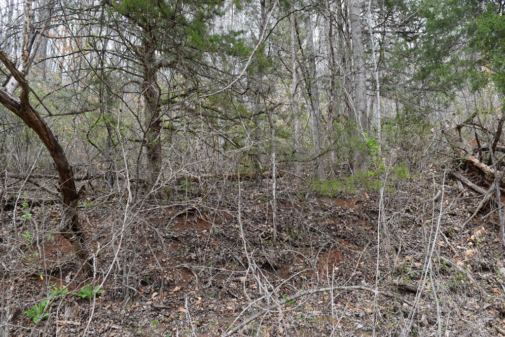 Land in Cullowhee 2