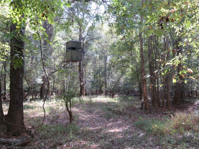 9795 S Us Highway 59, Home with 0 bedrooms, 0 bathrooms and null parking in Nacogdoches TX | Image 14