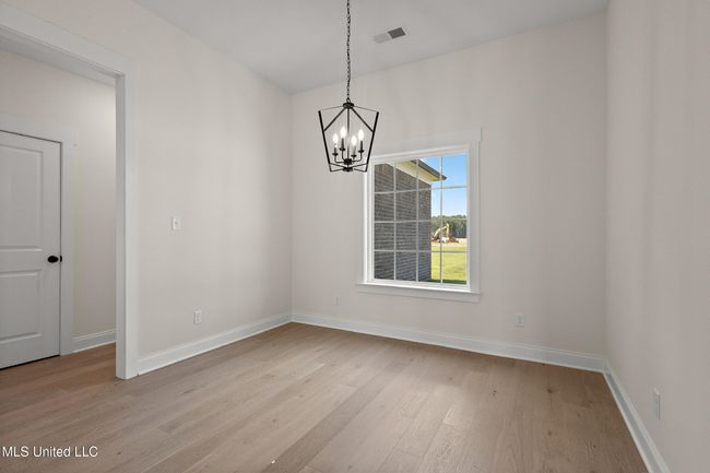 Pecan | Image 12
