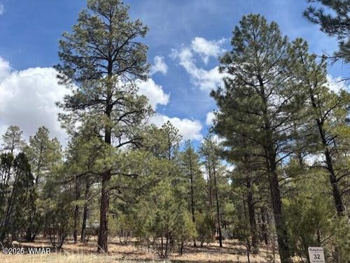 lot-28-3260 W Black Oak Loop, Show Low, AZ, 85901-7587 | Card Image