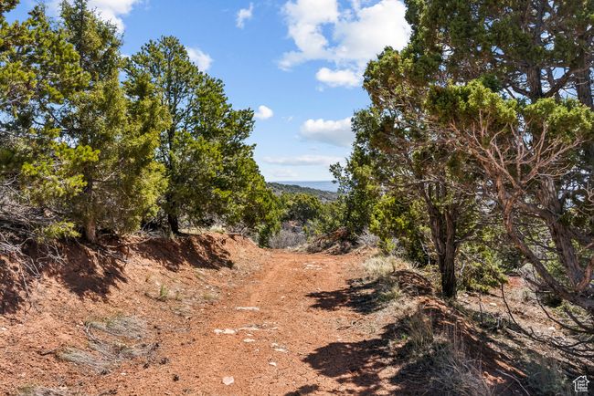 road on east side of the ranch | Image 77